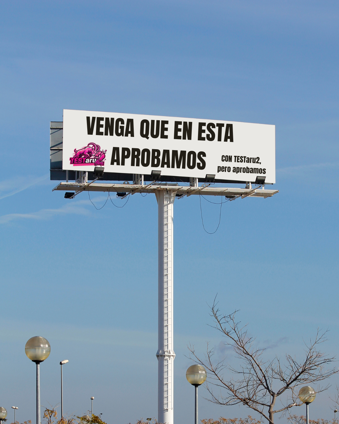 Campaña TESTaru2